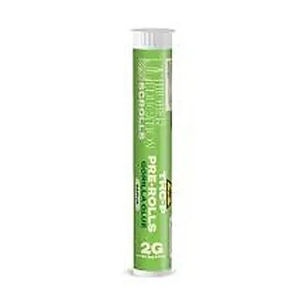 Higher Education 3 Preroll — prerolls at Elevated 369 Smoke Shop, Flowery Branch GA