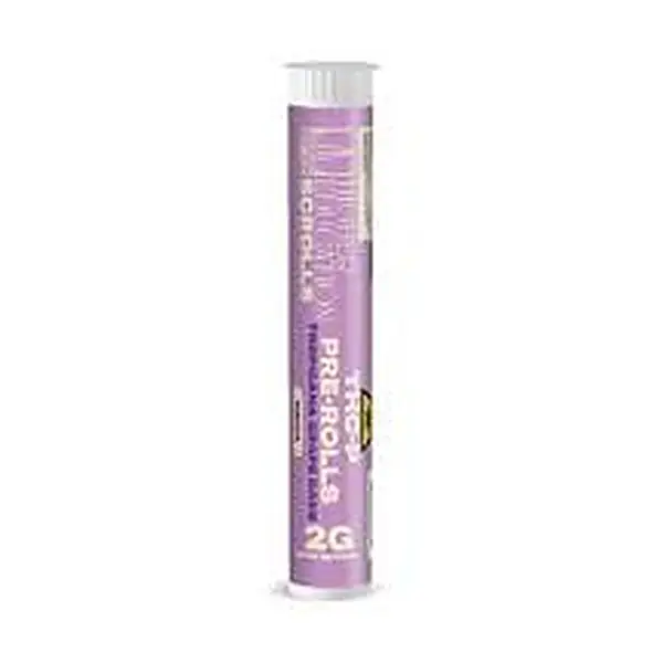 Higher Education Preroll — prerolls at Elevated 369 Smoke Shop, Flowery Branch GA